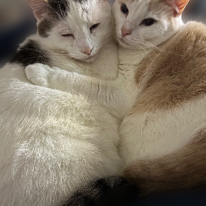 Fundraising Page: Patrick Gasparini